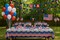 4th of July Party Supplies for 30 – Plates, Cups, Napkins, Table Cover, Banners, Balloons & Flags